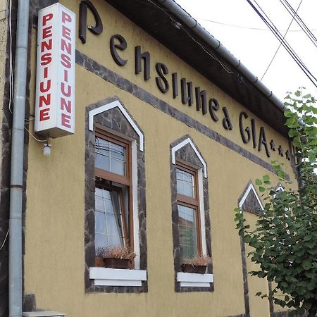 Pensiunea Gia Сигишоара Экстерьер фото