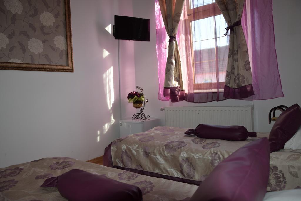 Pensiunea Gia Сигишоара Экстерьер фото